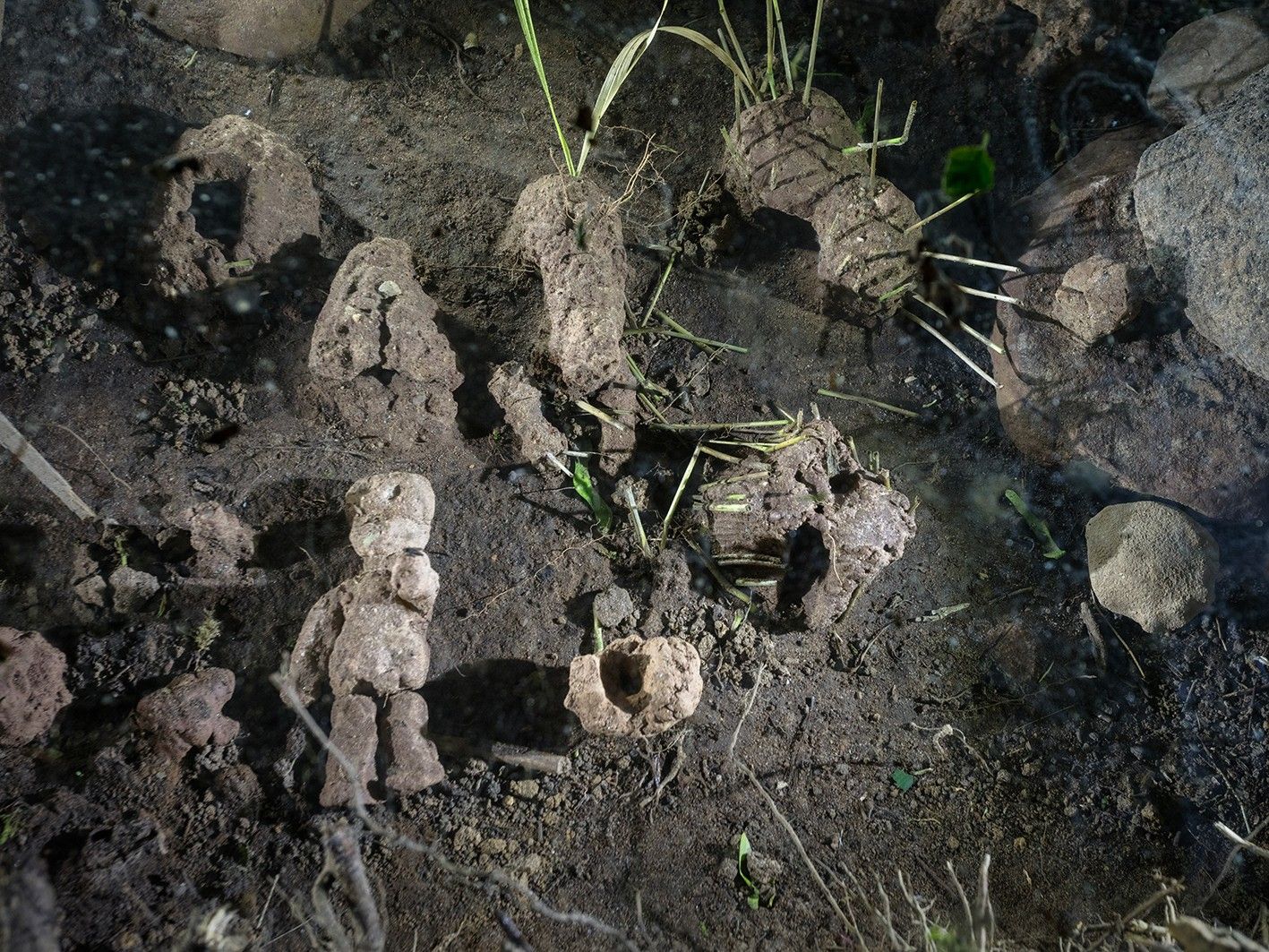 <p>Katrīna Neiburga, Ludvigs Eglitis Neiburgs, <em>Sekretjiki</em>, 2021. Detal. Dzięki uprzejmości artystki.</p>