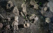 <p>Katrīna Neiburga, Ludvigs Eglitis Neiburgs, <em>Sekretjiki</em>, 2021. Detal. Dzięki uprzejmości artystki.</p>